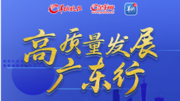 高质量发展广东行